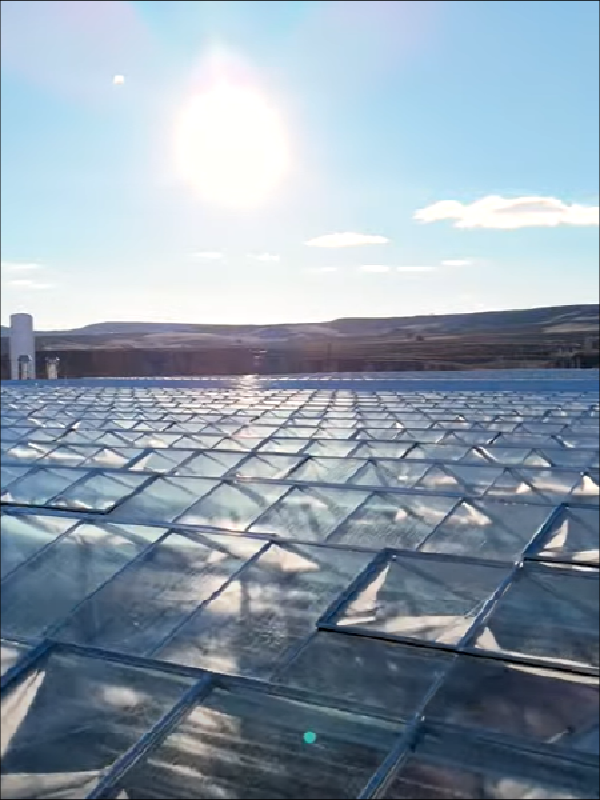 Turnkey Venlo Greenhouse Project – Sivas / Turkey
